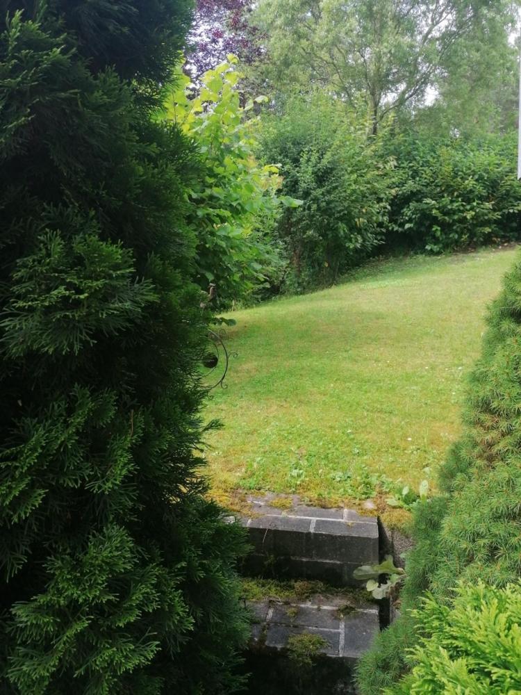Fewo Grenzenlos In Ramsberg Pleinfeld Kültér fotó